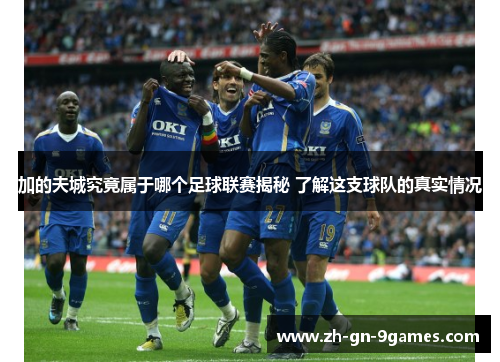 加的夫城究竟属于哪个足球联赛揭秘 了解这支球队的真实情况