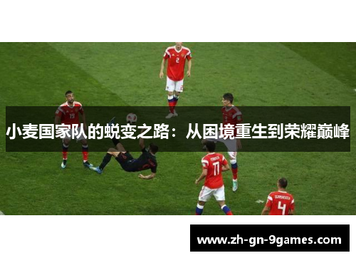 小麦国家队的蜕变之路：从困境重生到荣耀巅峰