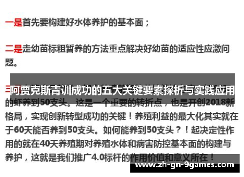 阿贾克斯青训成功的五大关键要素探析与实践应用 阿贾克斯青训成功的五大关键要素探析与实践应用